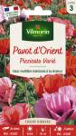 Fleurs - Pavot Pizzicato Varié - PACKAGING_RECTO